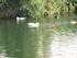 M COMME MARANS - CHARENTE MARI