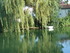 M COMME MARANS - CHARENTE MARI