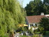M COMME MARANS (2) - CHARENTE 