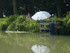 M COMME MARANS (3) - CHARENTE 