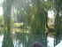 M COMME MARANS (3) - CHARENTE 