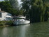M COMME MARANS (3) - CHARENTE 