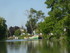 M COMME MARANS (4) - CHARENTE 