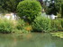 M COMME MARANS (5) - CHARENTE 