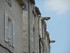 L COMME LA ROCHELLE (3) - CHAR