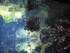 A COMME AQUARIUM (4) - LA ROCH