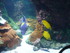 A COMME AQUARIUM (4) - LA ROCH