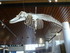 A COMME AQUARIUM (5) - LA ROCH