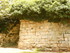 A COMME ABBAYE DE MAILLEZAIS -
