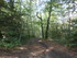 LA SAINTE BAUME