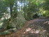 LA SAINTE BAUME