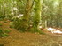 LA SAINTE BAUME