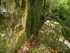 LA SAINTE BAUME