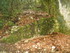 LA SAINTE BAUME