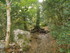 LA SAINTE BAUME