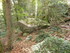 LA SAINTE BAUME
