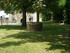 A COMME ABBAYE DE MAILLEZAIS (