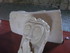 A COMME ABBAYE DE MAILLEZAIS (