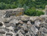 A COMME ABBAYE DE MAILLEZAIS (