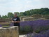 A COMME ABBAYE DE MAILLEZAIS (