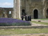 A COMME ABBAYE DE MAILLEZAIS (