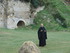A COMME ABBAYE DE MAILLEZAIS (