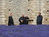 A COMME ABBAYE DE MAILLEZAIS (