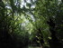 M COMME MARAIS DE MAILLEZAIS -