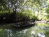 M COMME MARAIS DE MAILLEZAIS -