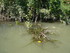 M COMME MARAIS DE MAILLEZAIS -