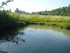 M COMME MARAIS DE MAILLEZAIS -