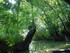 M COMME MARAIS DE MAILLEZAIS -
