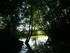 M COMME MARAIS DE MAILLEZAIS -