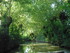 M COMME MARAIS DE MAILLEZAIS -