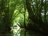 M COMME MARAIS DE MAILLEZAIS -