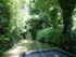 M COMME MARAIS DE MAILLEZAIS (