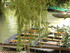 M COMME MARAIS DE MAILLEZAIS (