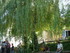 M COMME MARAIS DE MAILLEZAIS (