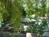 M COMME MARAIS DE MAILLEZAIS (