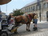 R COMME ROCHEFORT - CHARENTE M