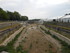 R COMME ROCHEFORT - CHARENTE M