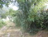 UCHAUX EN VERSION GOURMANDE