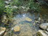 UCHAUX EN VERSION GOURMANDE