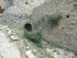 UCHAUX EN VERSION GOURMANDE