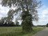 UCHAUX EN VERSION GOURMANDE