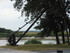 R COMME ROCHEFORT (2) - CHAREN