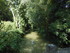 S COMME SAINT HILAIRE LA PALUD