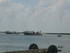 A COMME AIGUILLON SUR MER - VE
