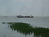 A COMME AIGUILLON SUR MER - VE