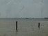 A COMME AIGUILLON SUR MER - VE